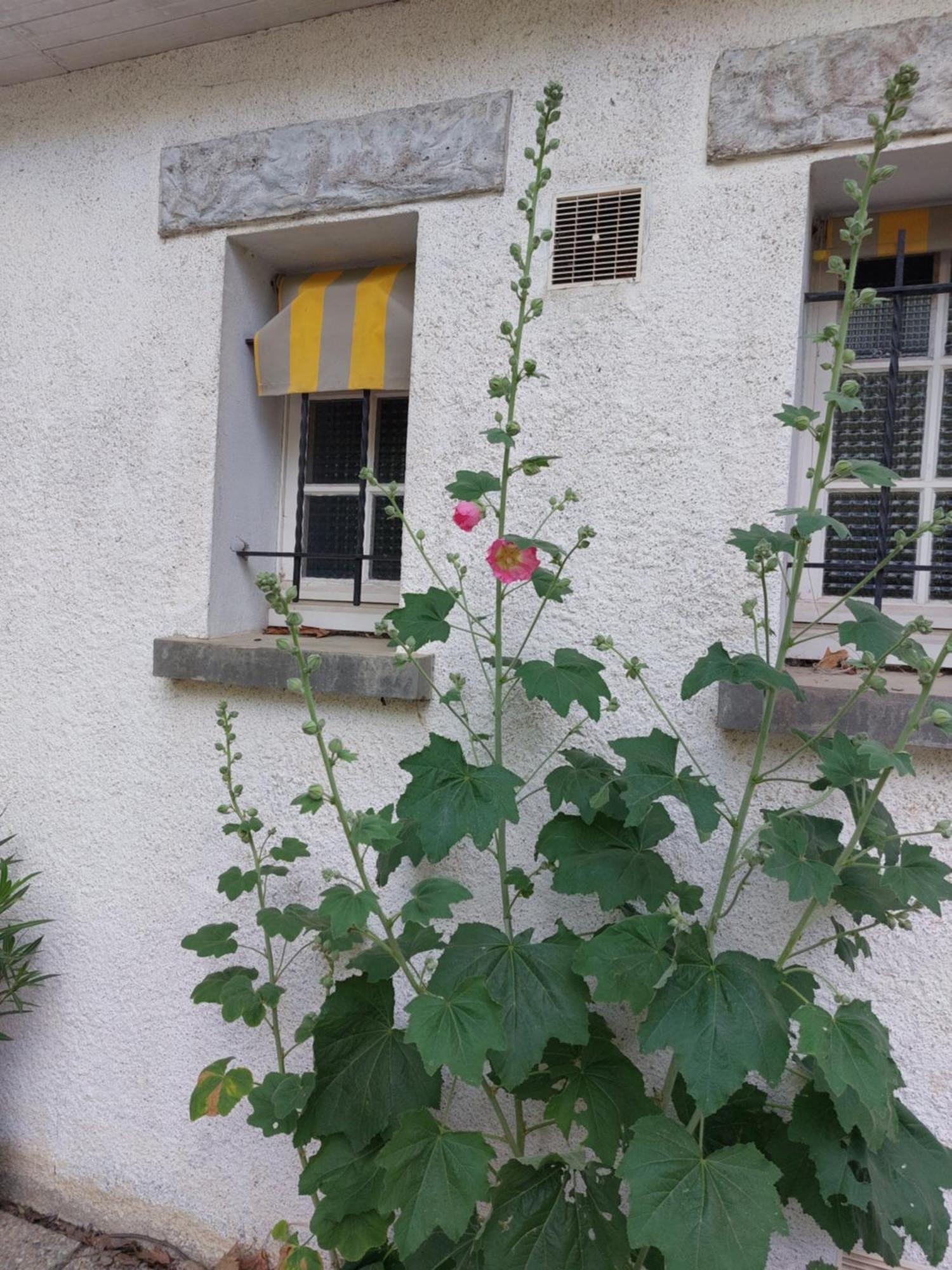 Les Allees Du Chateau Le Mazeau Zewnętrze zdjęcie